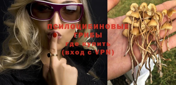 амф Вуктыл